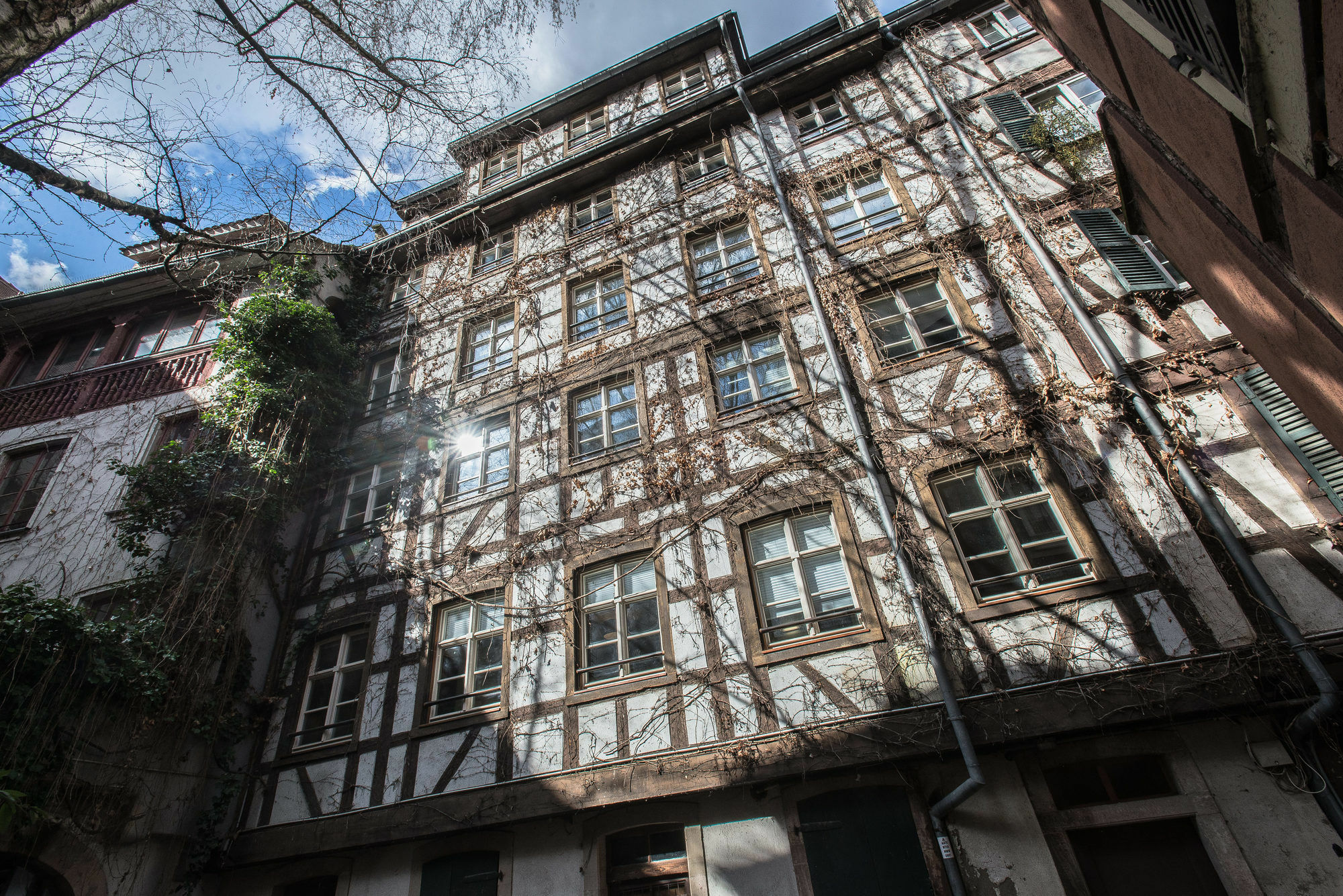 Appartement Des Moulins ストラスブール エクステリア 写真